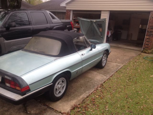 1984 Alfa Romeo Spider
