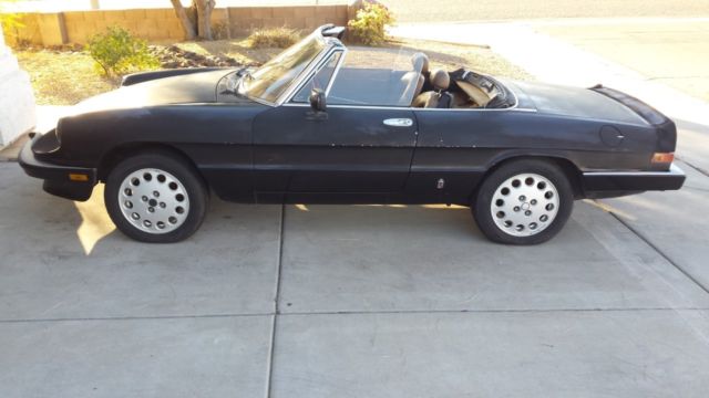 1984 Alfa Romeo Spider