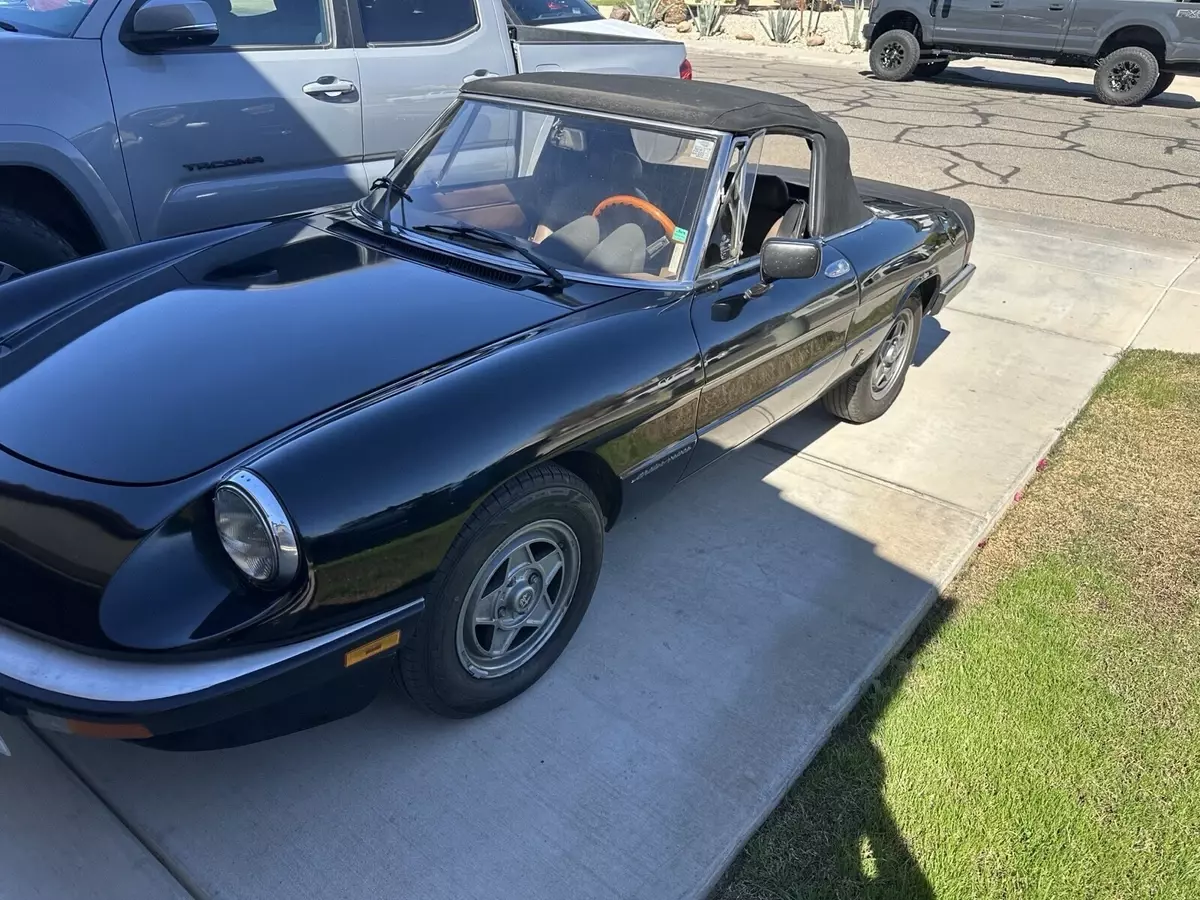 1984 Alfa Romeo Spider 2000 SPIDER