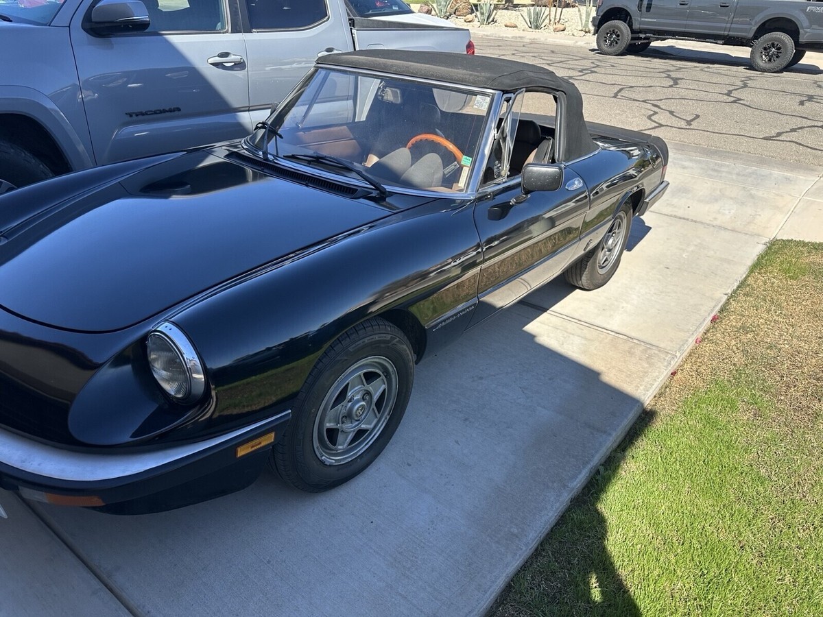 1984 Alfa Romeo Spider 2000 SPIDER - photo 11