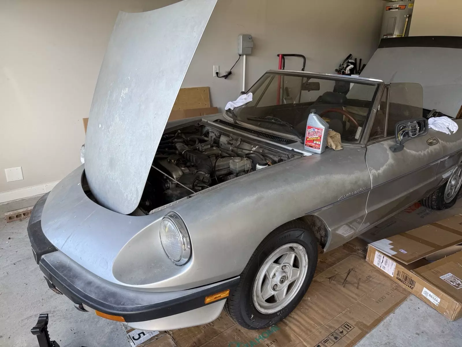 1984 Alfa Romeo Spider Spider Veloce