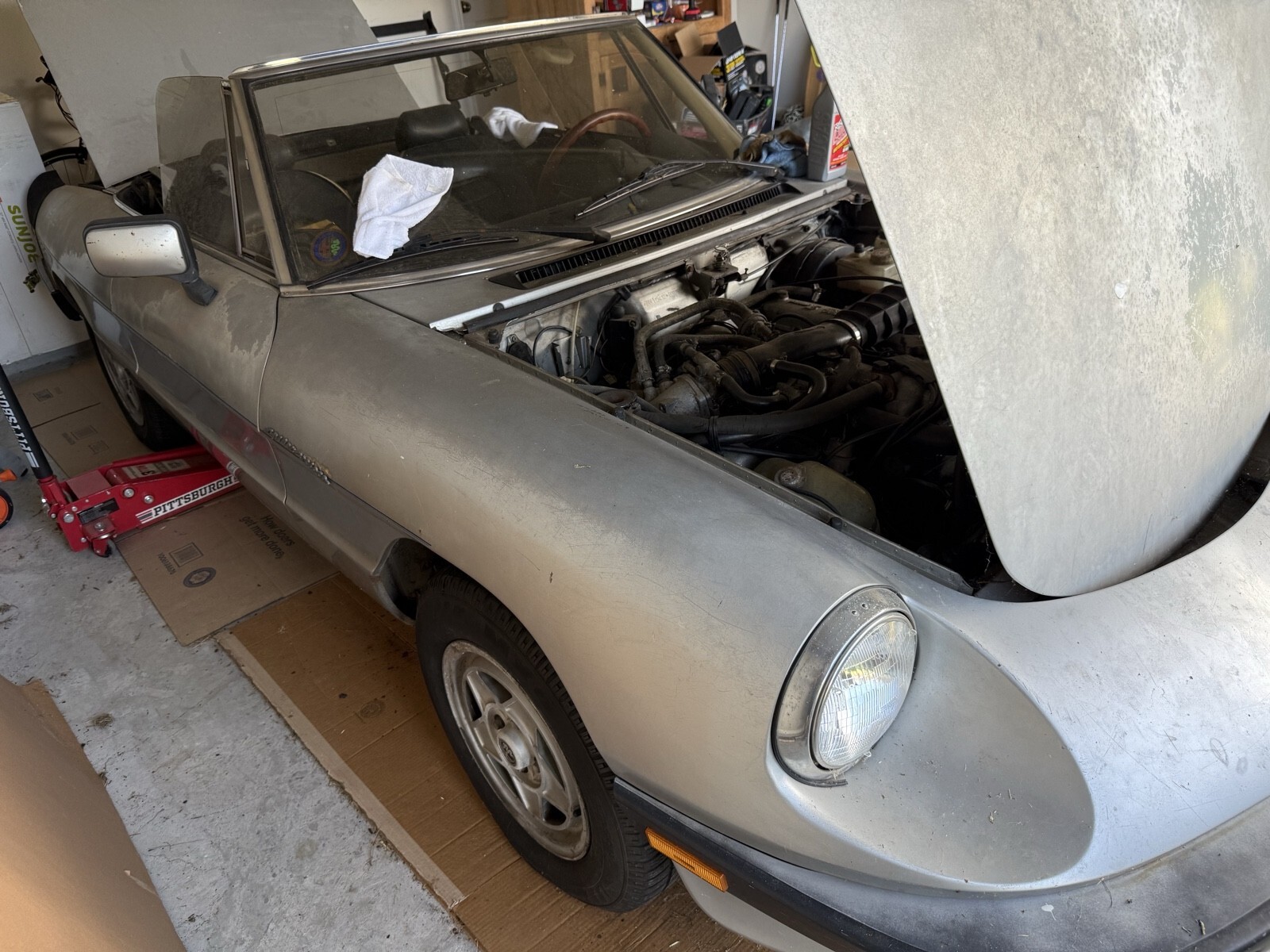 1984 Alfa Romeo Spider Spider Veloce - photo 2