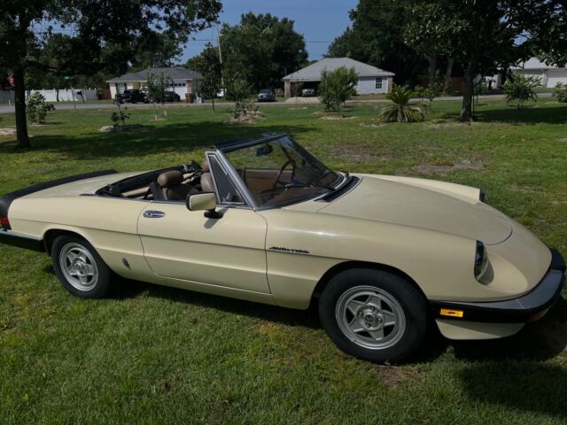 1984 Alfa Romeo Spider 2000 SPIDER - photo 2
