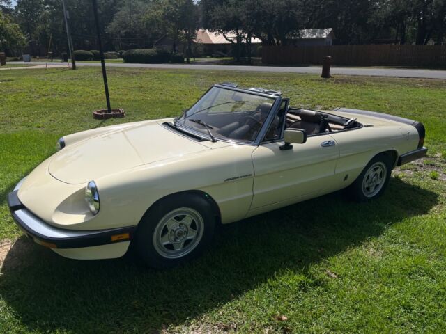 1984 Alfa Romeo Spider 2000 SPIDER - photo 3