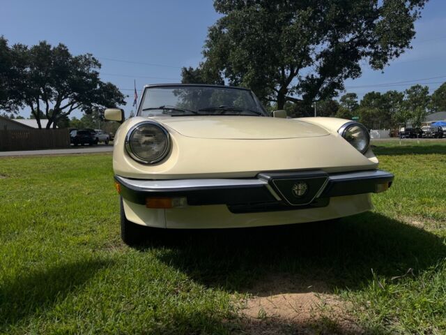 1984 Alfa Romeo Spider 2000 SPIDER - photo 4