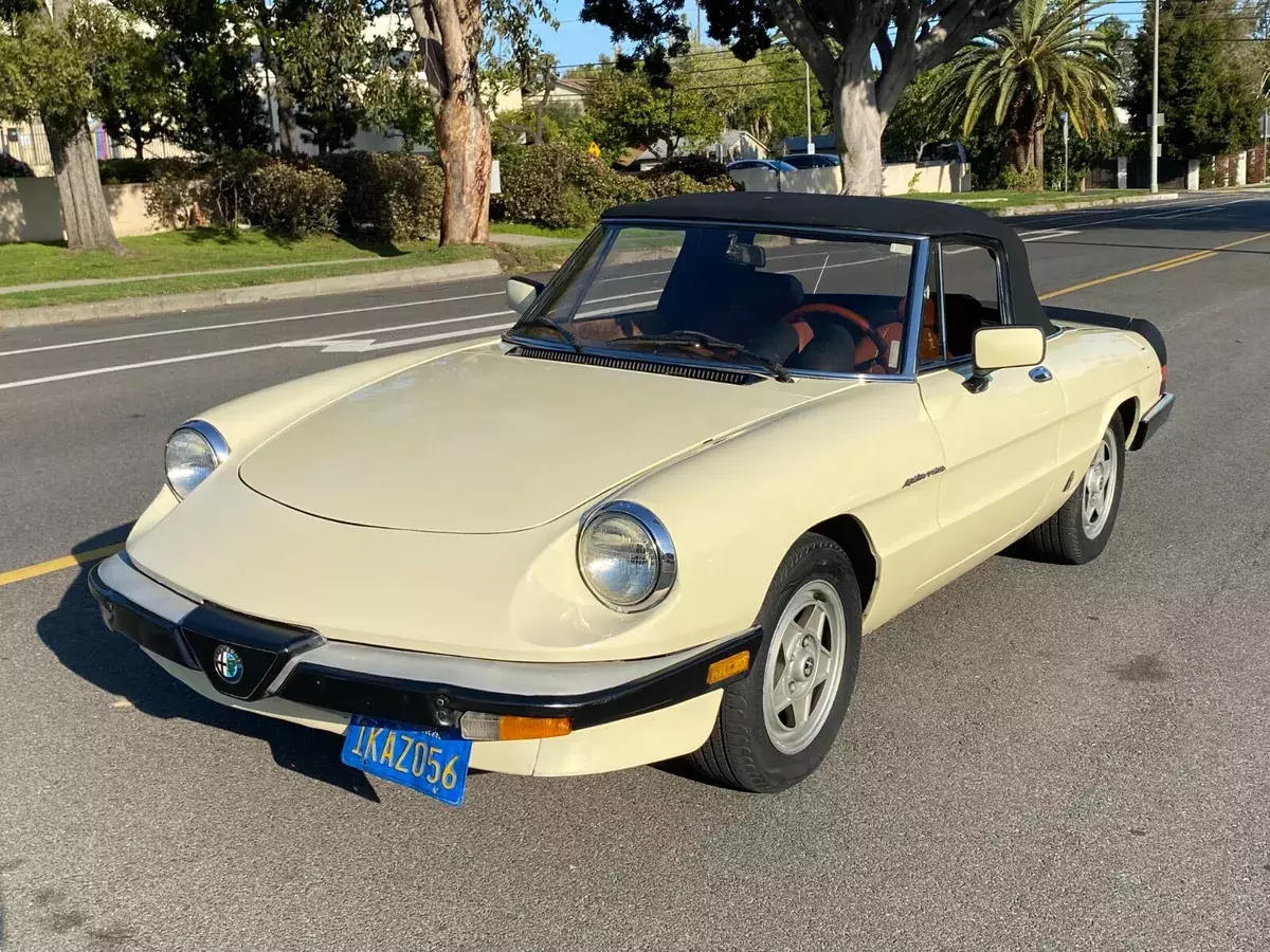 1984 Alfa Romeo Spider VELOCE