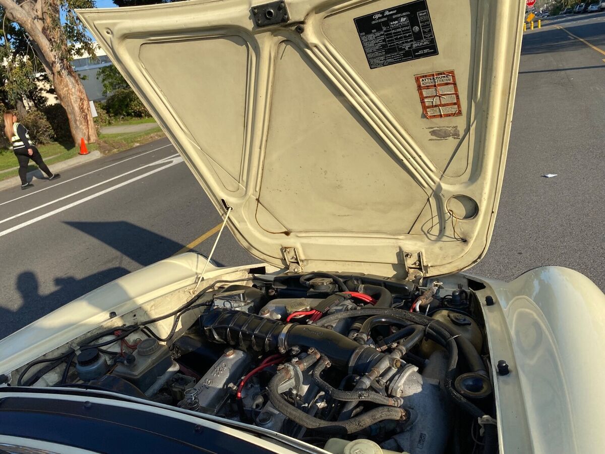1984 Alfa Romeo Spider VELOCE - photo 11