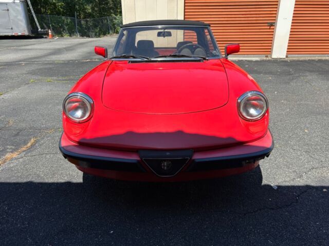 1984 Alfa Romeo Spider - photo 3