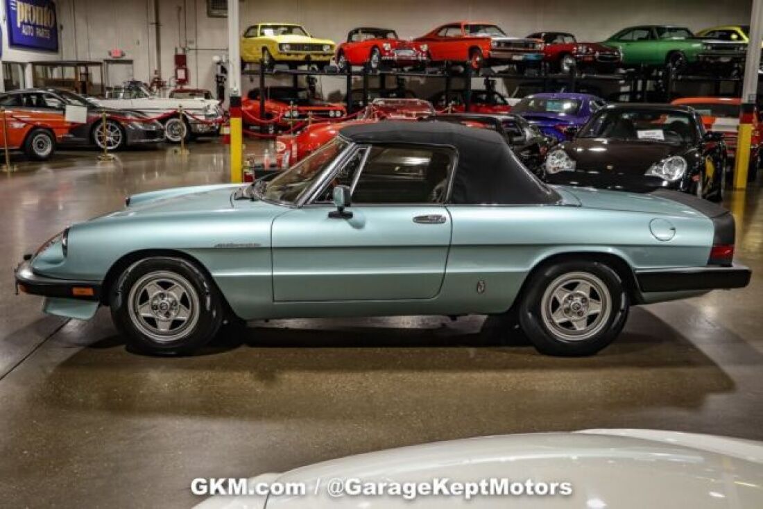 1984 Alfa Romeo Spider Veloce - photo 11