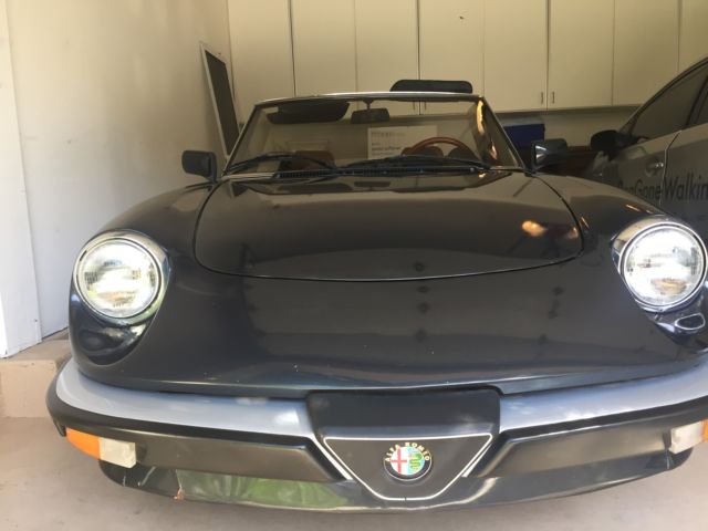 1984 Alfa Romeo Spider spider