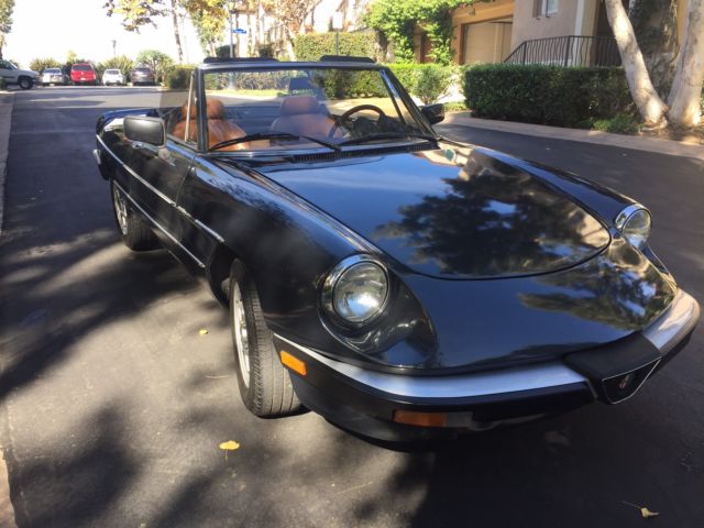 1984 Alfa Romeo Spider spider - photo 6