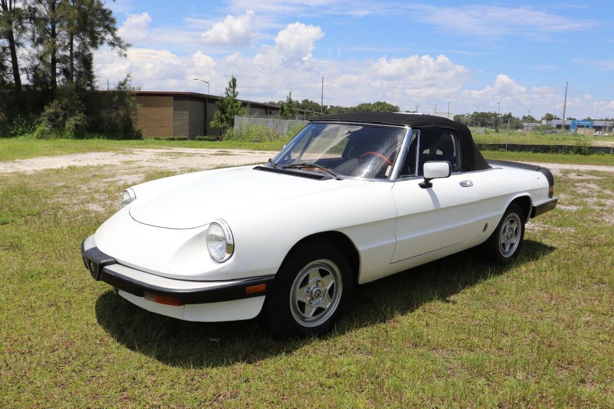 1984 Alfa Romeo Spider Veloce Convertible Must See 80+ HD Pictures - photo 2