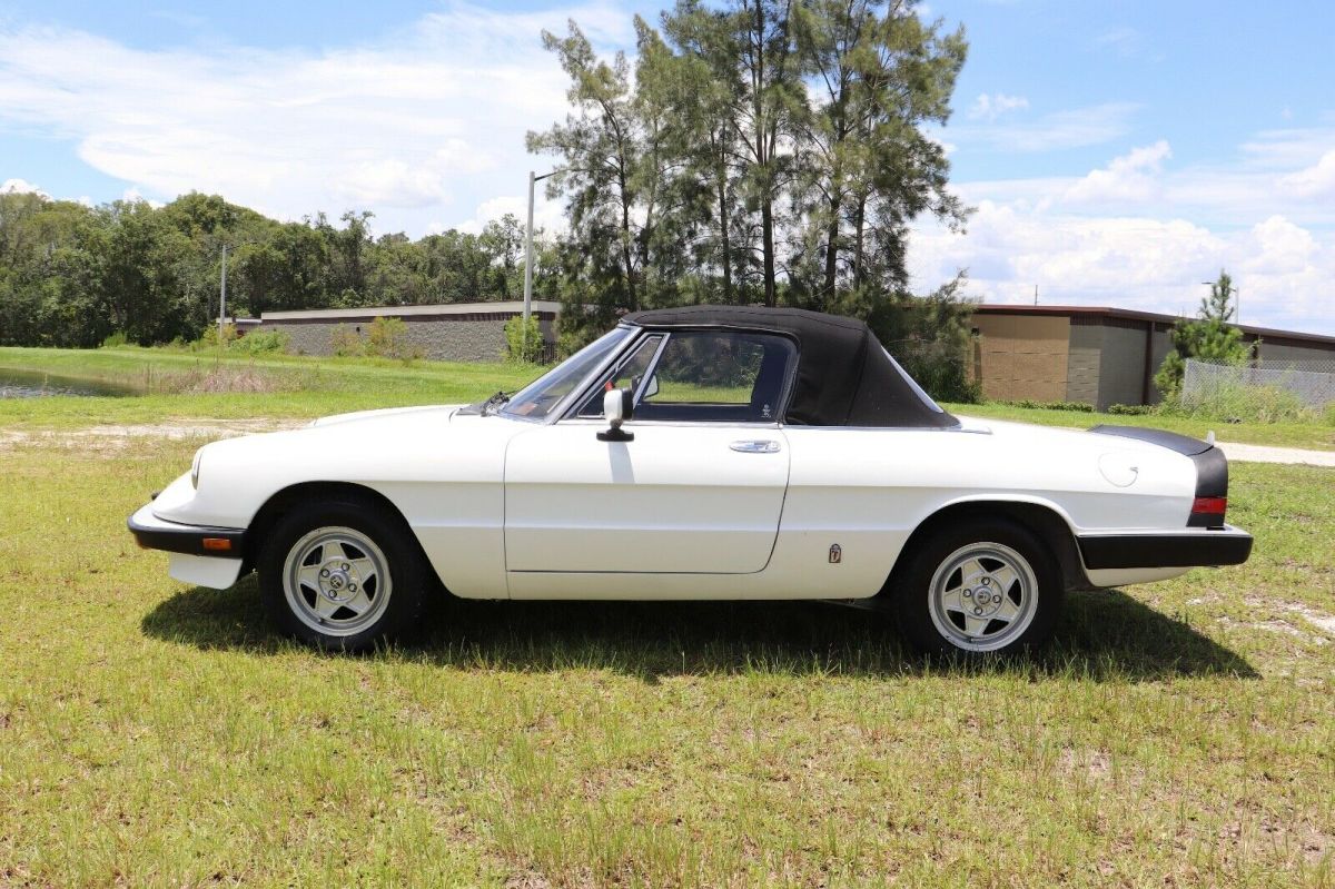 1984 Alfa Romeo Spider Veloce Convertible Must See 80+ HD Pictures - photo 3
