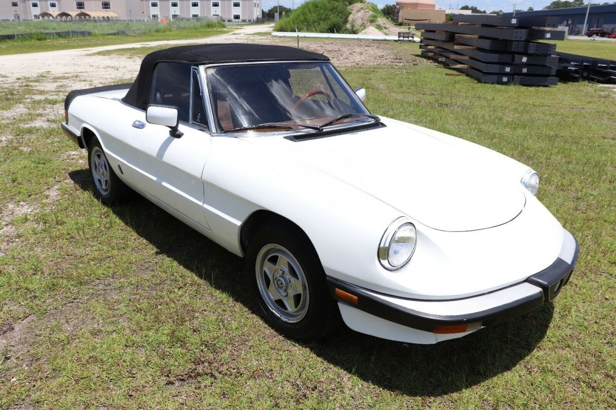1984 Alfa Romeo Spider Veloce Convertible Must See 80+ HD Pictures - photo 5