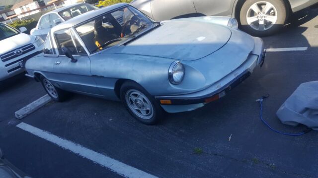1984 Alfa Romeo Spider - photo 13