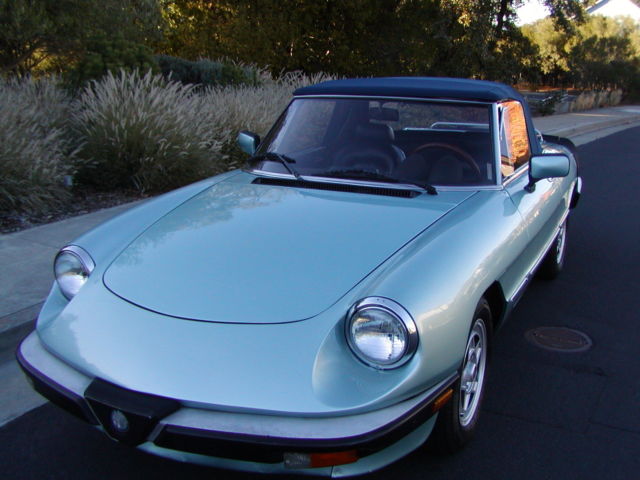 1984 Alfa Romeo Spider - photo 2