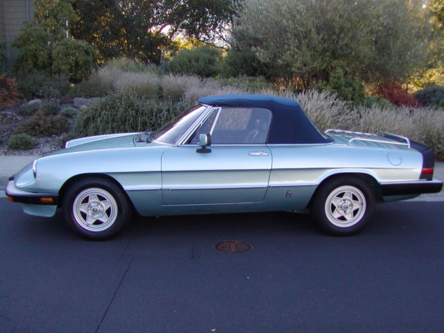 1984 Alfa Romeo Spider - photo 3