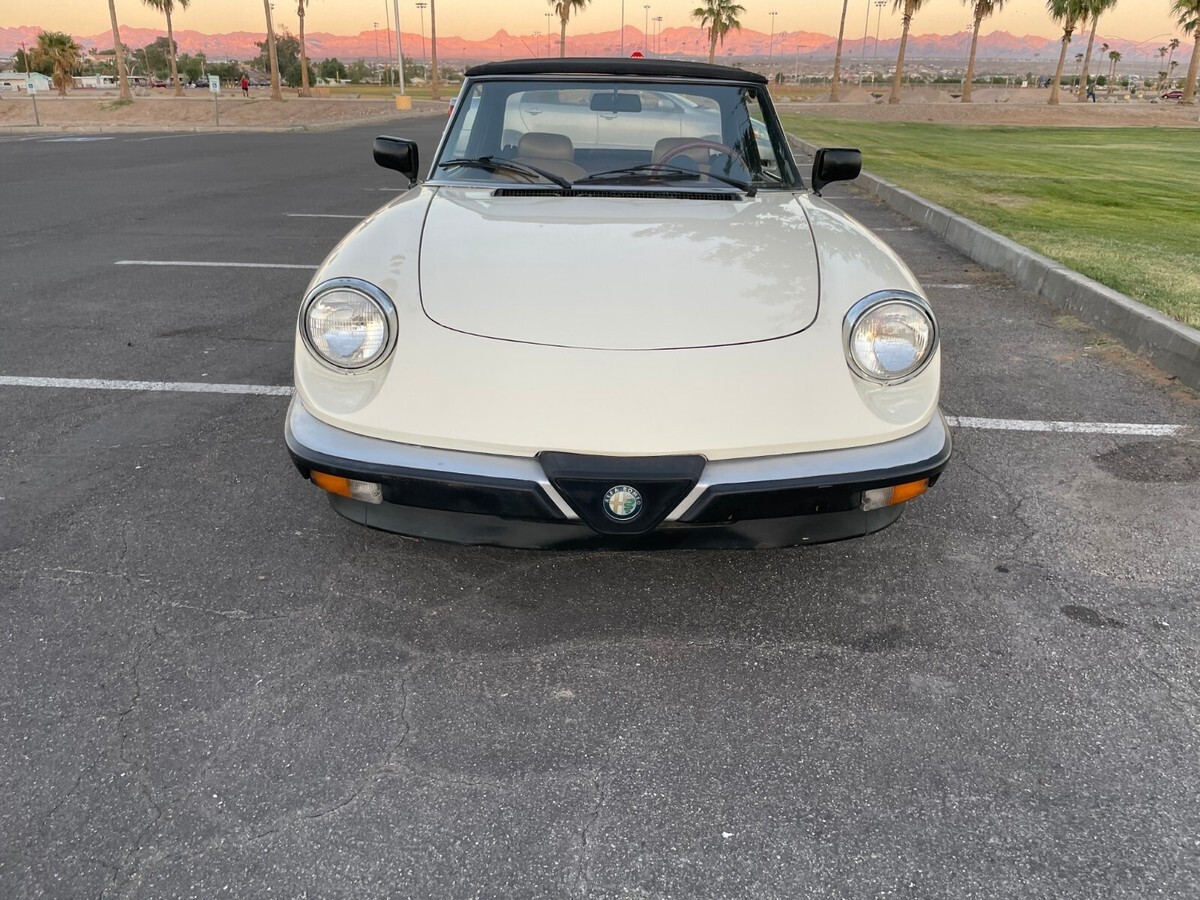 1984 Alfa Romeo Veloce - photo 4