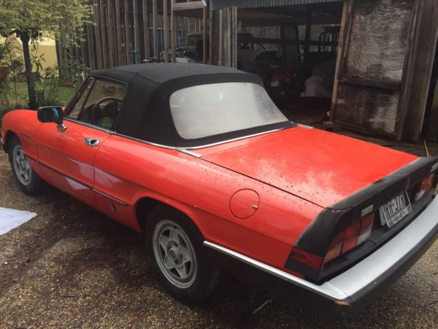 1984 Alfa Romeo Spider Romeo Veloce - photo 6