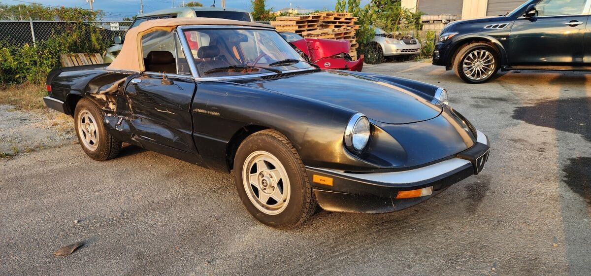 1984 alpha romeo veloce spider 1984 Alfa Romeo Spider 2000 SPIDER