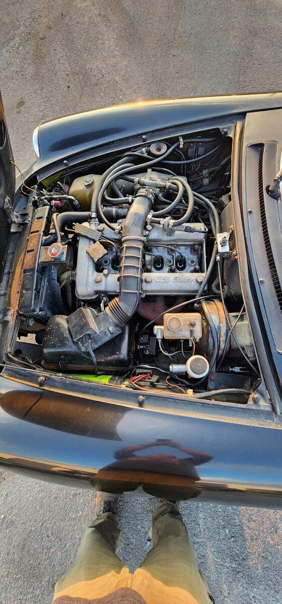 1984 Alfa Romeo Spider 2000 SPIDER - photo 10