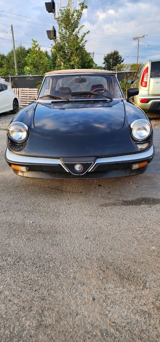 1984 Alfa Romeo Spider 2000 SPIDER - photo 6