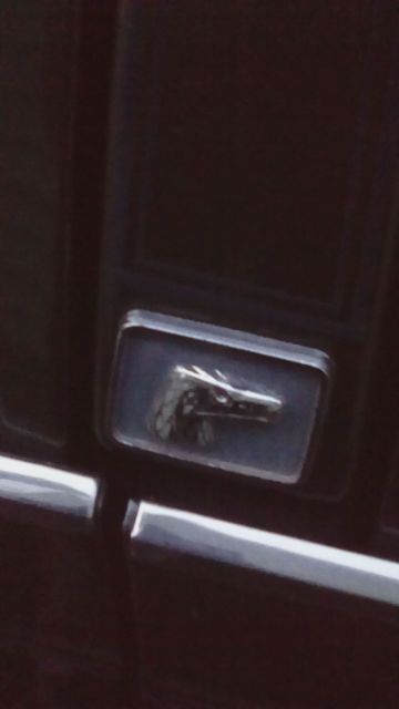 1984 AMC Other - photo 2