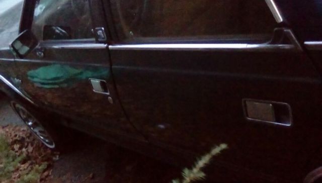 1984 AMC Other - photo 7
