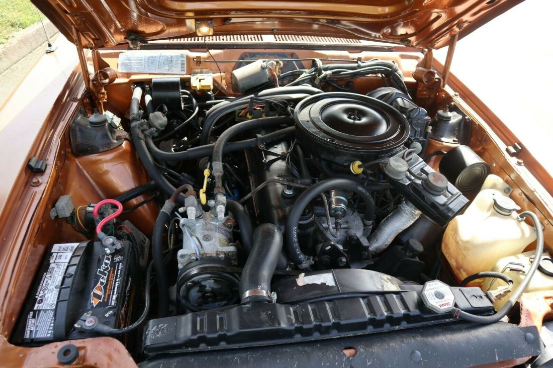 1984 AMC LIMITED LIMITED - photo 6