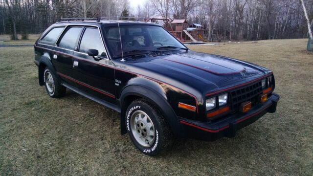 1984 AMC Other Sport - photo 2