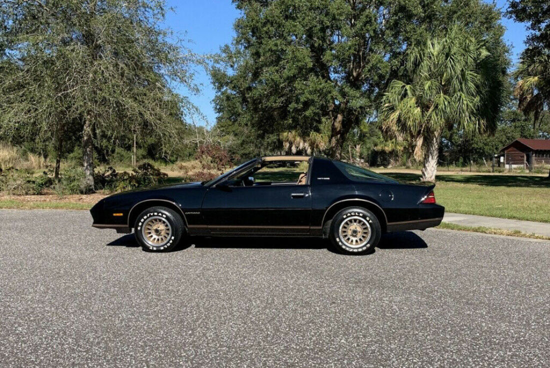 1984 Chevrolet Camaro Berlinetta 2dr Hatchback - photo 4