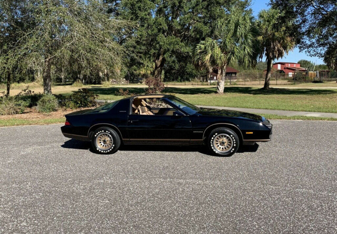 1984 Chevrolet Camaro Berlinetta 2dr Hatchback - photo 6