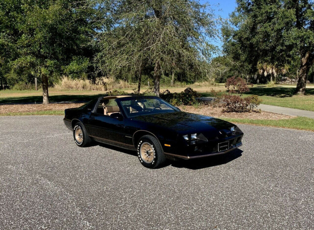 1984 Chevrolet Camaro Berlinetta 2dr Hatchback - photo 7