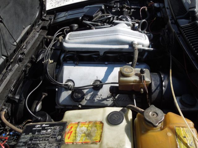 1984 Alfa Romeo GTV6 2.5 Coupe 2-Door - photo 11