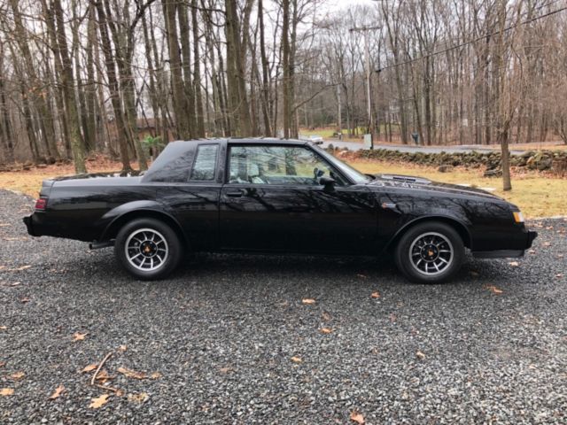 1984 Buick Grand National Grand National - photo 10