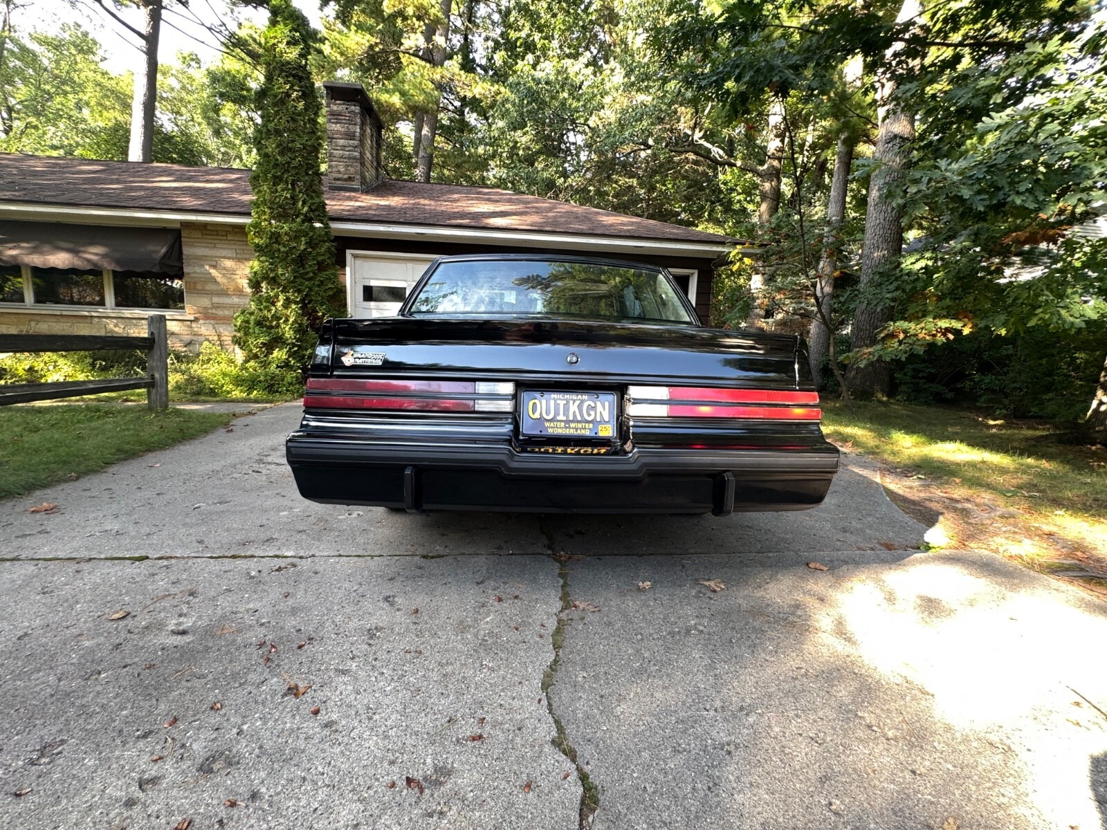 1984 Buick Grand National - photo 13