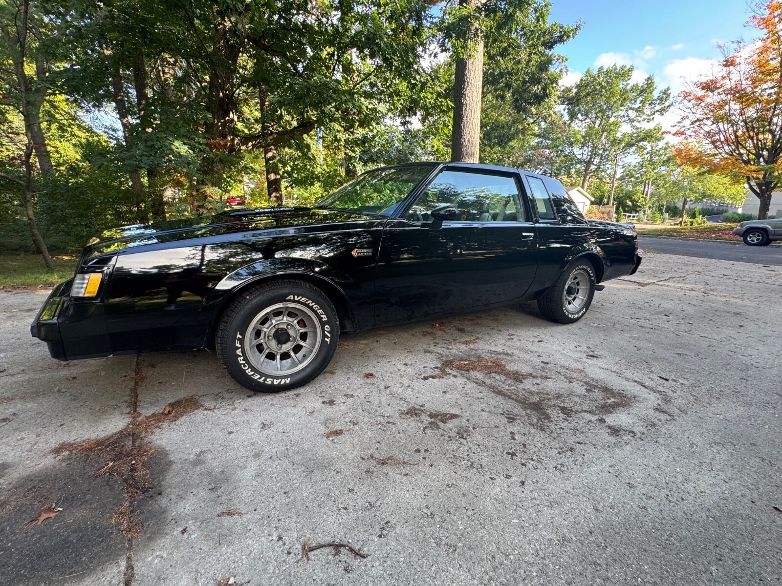 1984 Buick Grand National - photo 6