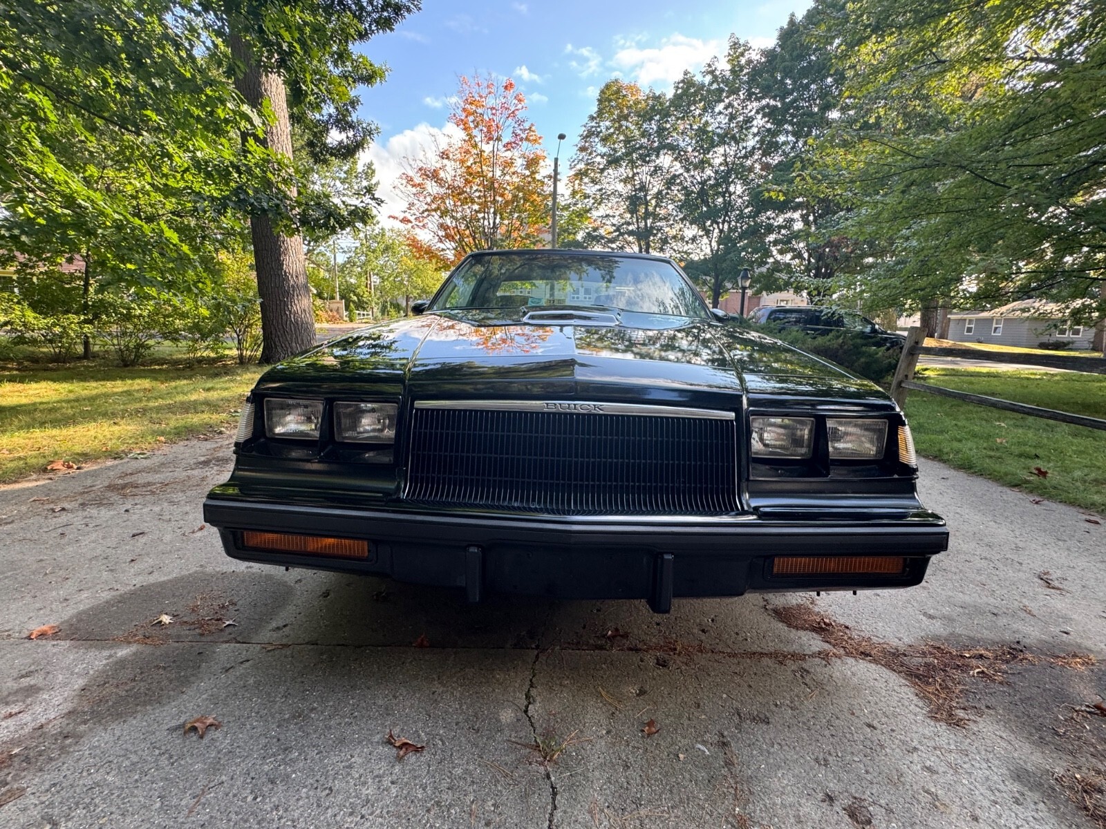 1984 Buick Grand National - photo 7