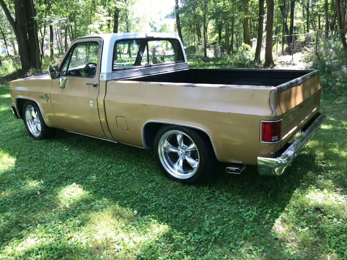 1984 Chevrolet C-10 SCOTTSDALE LS 5.3 SWAPPED - photo 11