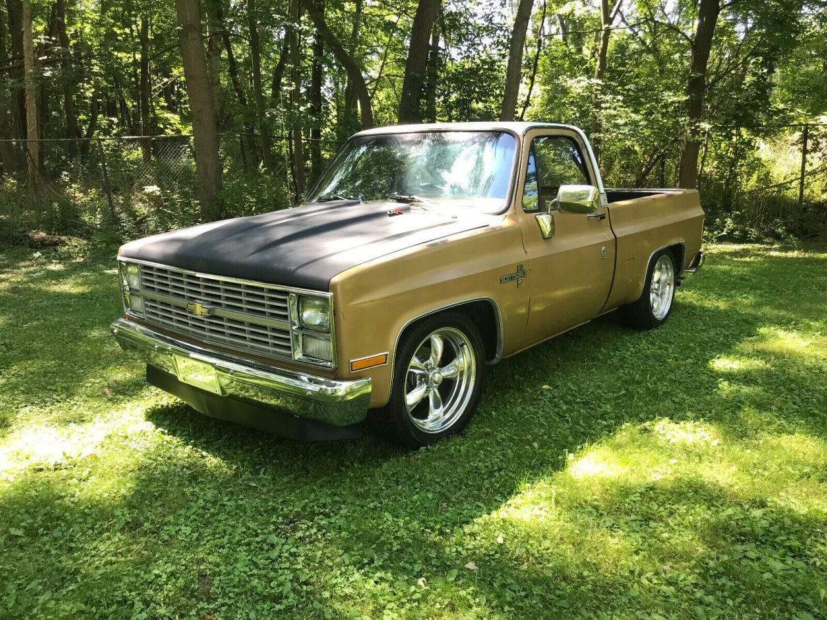 1984 Chevrolet C-10 SCOTTSDALE LS 5.3 SWAPPED - photo 4