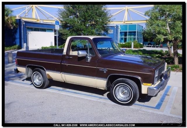1984 Chevrolet Other C10 Silverado 2dr Standard Cab SB - photo 4