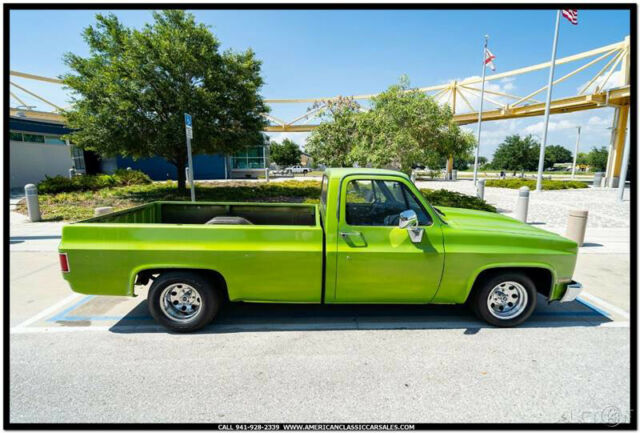 1984 GMC C1500 C1500 2dr Standard Cab LB - photo 2