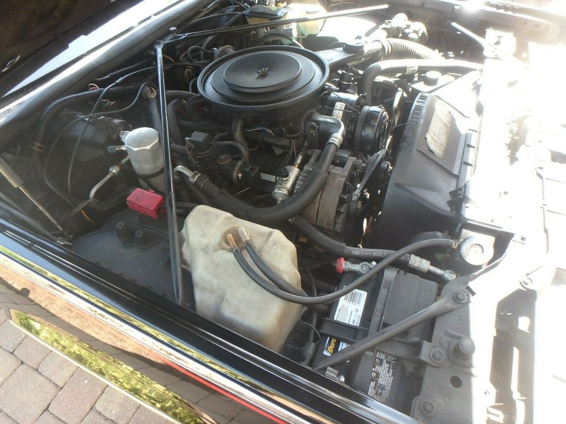 1984 Cadillac Eldorado Eldorado - photo 6