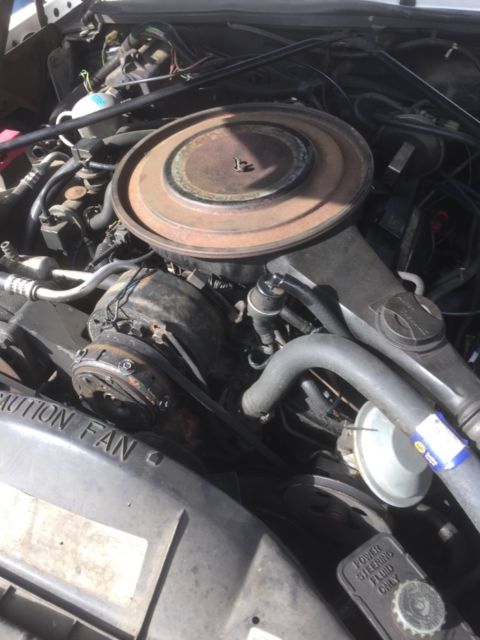 1984 Cadillac Eldorado Biarritz - photo 12