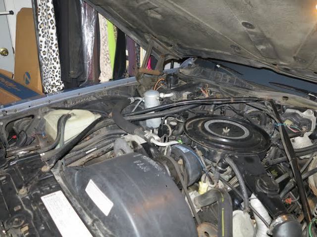 1984 Cadillac DeVille - photo 10