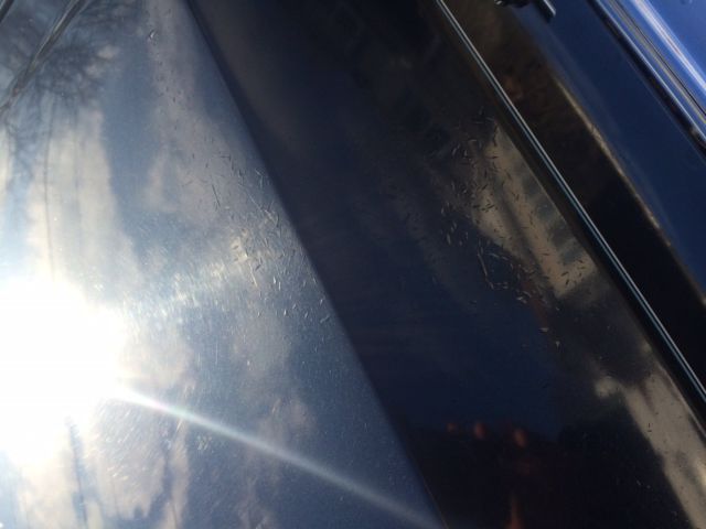 1984 Cadillac DeVille - photo 13