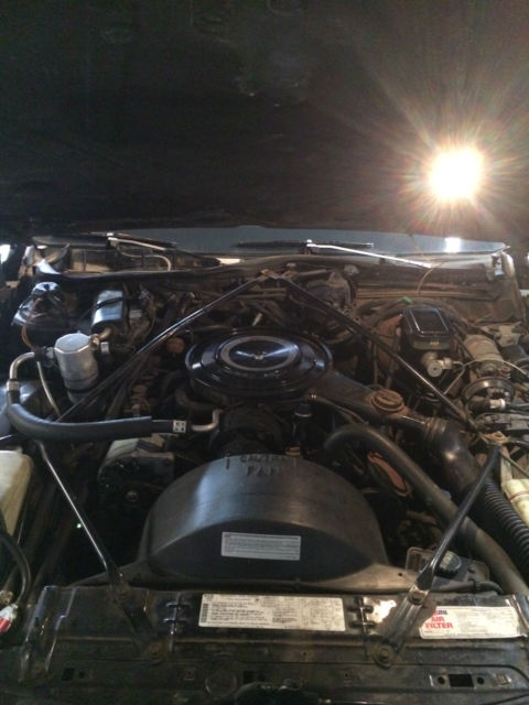 1984 Cadillac DeVille - photo 8