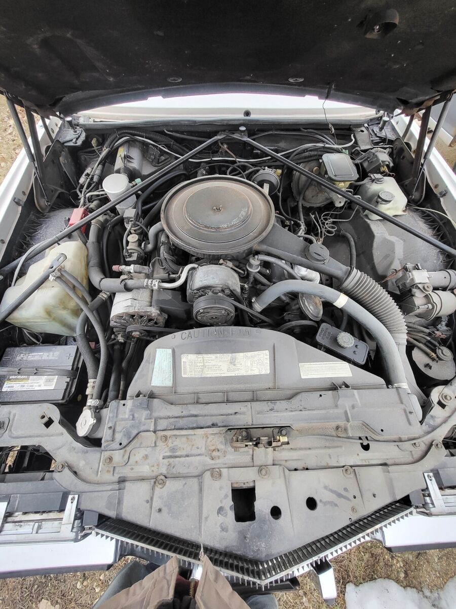 1984 Cadillac Eldorado - photo 9