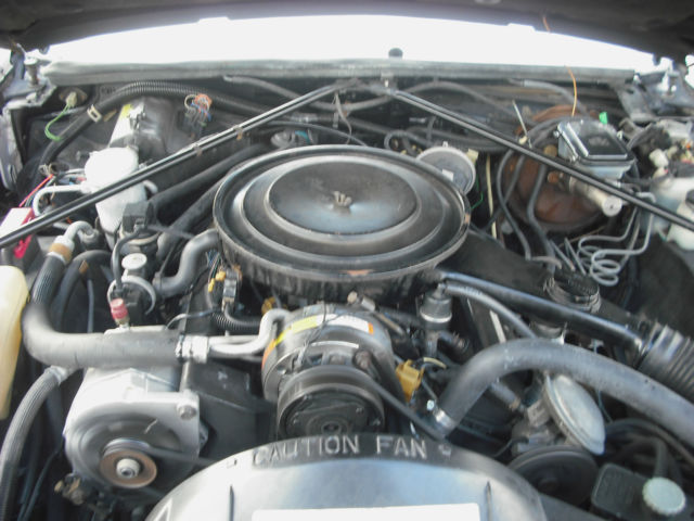 1984 Cadillac Eldorado Biarritz - photo 9