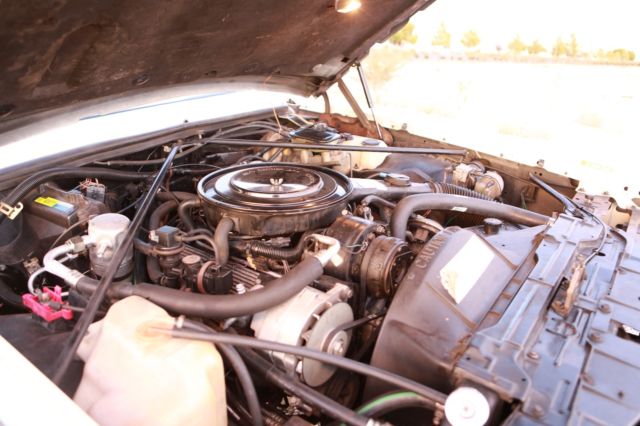 1984 Cadillac Eldorado Coupe - photo 10